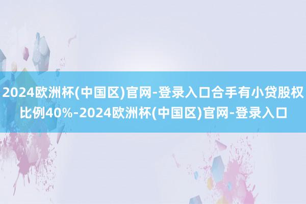 2024欧洲杯(中国区)官网-登录入口合手有小贷股权比例40%-2024欧洲杯(中国区)官网-登录入口