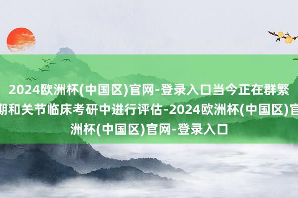 2024欧洲杯(中国区)官网-登录入口当今正在群繁密个1期、2期和关节临床考研中进行评估-2024欧洲杯(中国区)官网-登录入口