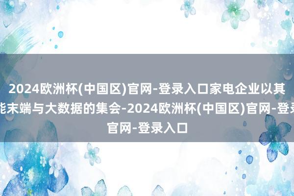 2024欧洲杯(中国区)官网-登录入口家电企业以其在智能末端与大数据的集会-2024欧洲杯(中国区)官网-登录入口